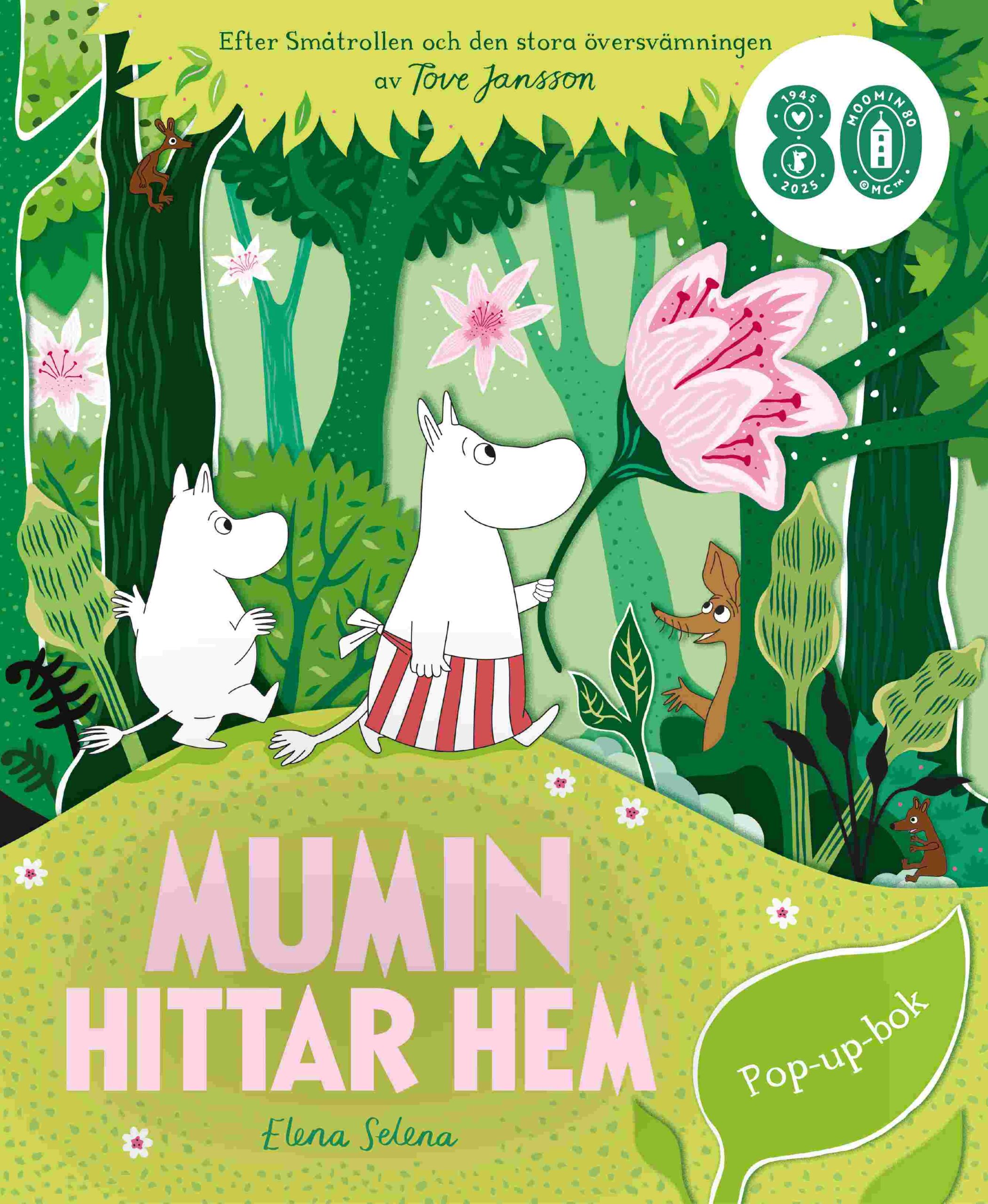 Mumin hittar hem